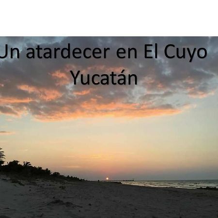 Via Lactea Apartamentos 埃尔库约 外观 照片