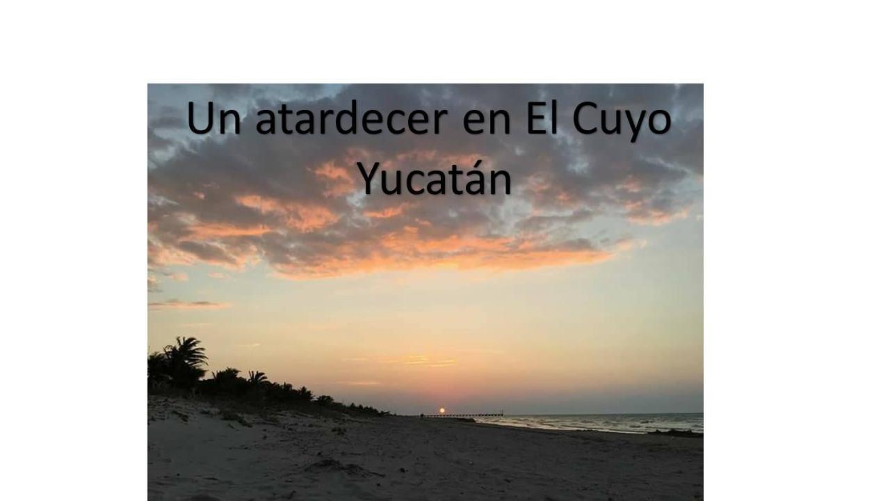 Via Lactea Apartamentos 埃尔库约 外观 照片